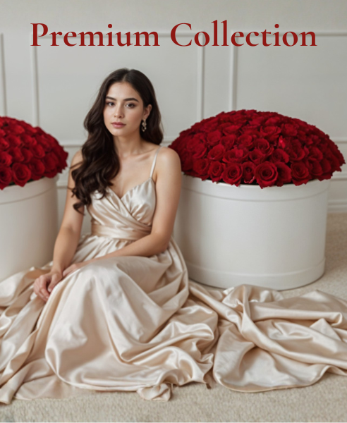 Premium Collection
