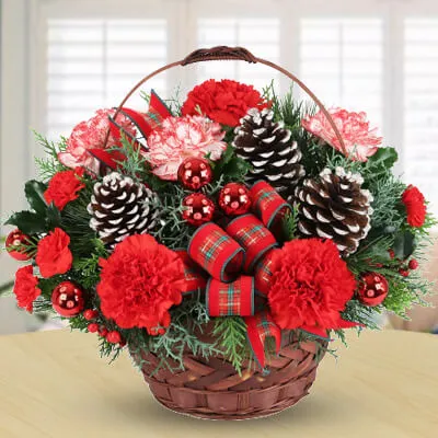 Joyful Christmas