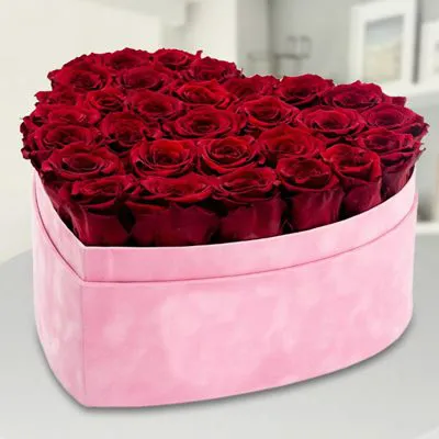 25 Red Roses in Heart Box