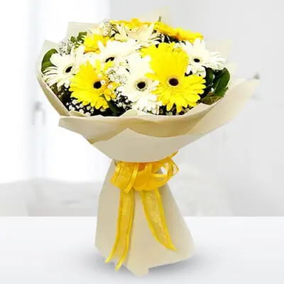 Gerbera Fantacy