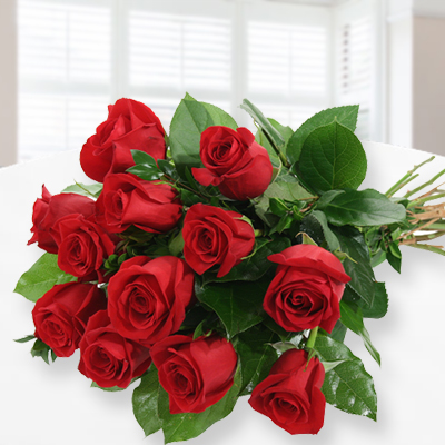 Everlasting Rose Love