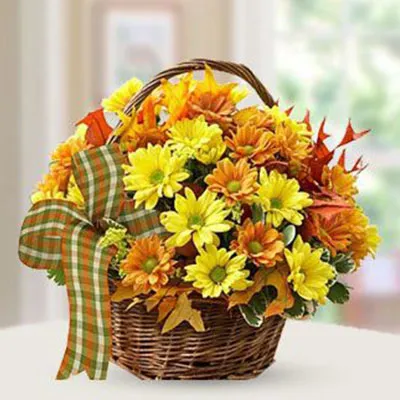 Colorful Mums