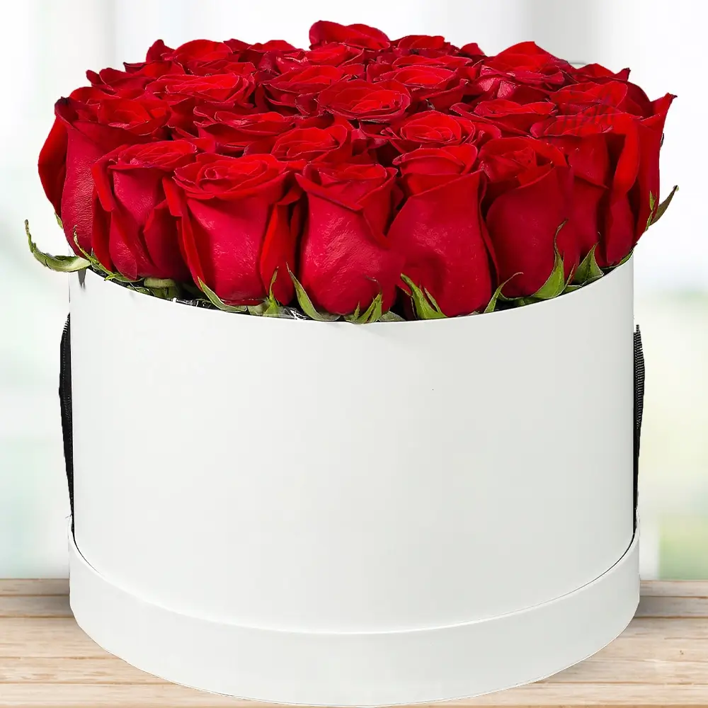 Premium Red Roses